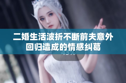 二婚生活波折不断前夫意外回归造成的情感纠葛