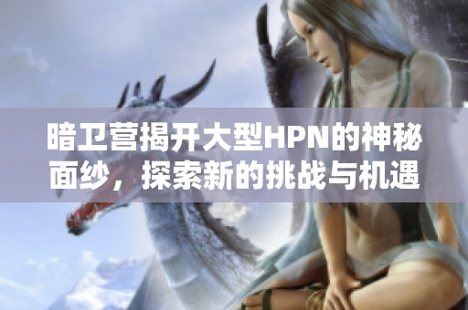 暗卫营揭开大型HPN的神秘面纱，探索新的挑战与机遇