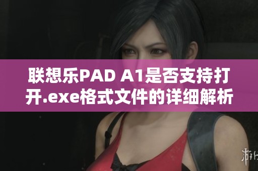 联想乐PAD A1是否支持打开.exe格式文件的详细解析