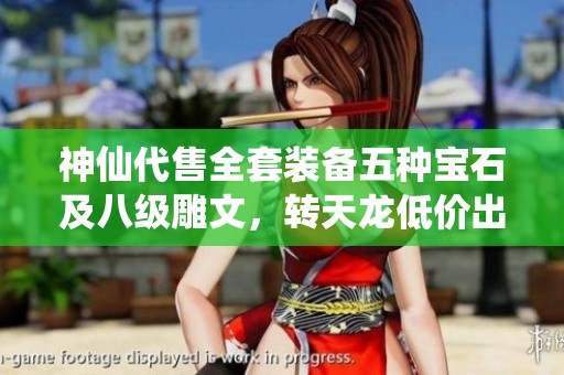 神仙代售全套装备五种宝石及八级雕文，转天龙低价出售