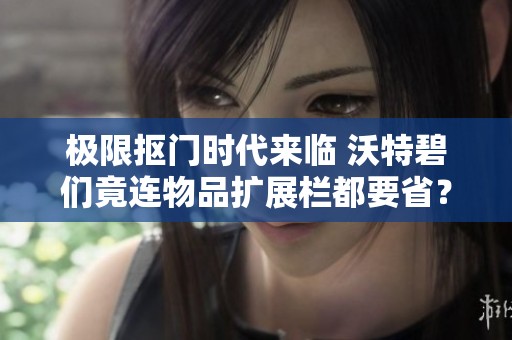 极限抠门时代来临 沃特碧们竟连物品扩展栏都要省？