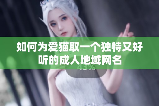 如何为爱猫取一个独特又好听的成人地域网名