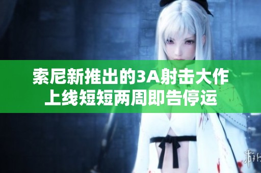 索尼新推出的3A射击大作上线短短两周即告停运