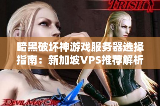 暗黑破坏神游戏服务器选择指南：新加坡VPS推荐解析