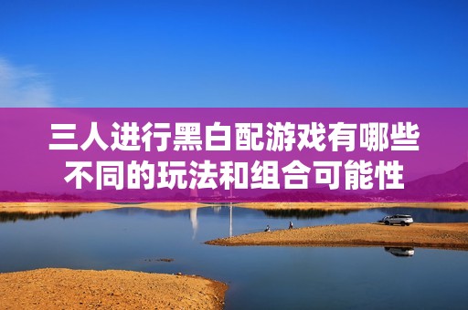 三人进行黑白配游戏有哪些不同的玩法和组合可能性