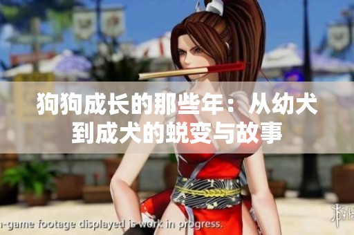 狗狗成长的那些年：从幼犬到成犬的蜕变与故事