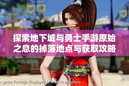 探索地下城与勇士手游原始之息的掉落地点与获取攻略