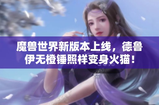 魔兽世界新版本上线，德鲁伊无橙锤照样变身火猫！