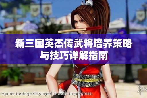 新三国英杰传武将培养策略与技巧详解指南