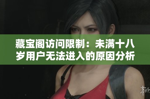 藏宝阁访问限制：未满十八岁用户无法进入的原因分析