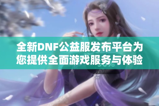 全新DNF公益服发布平台为您提供全面游戏服务与体验