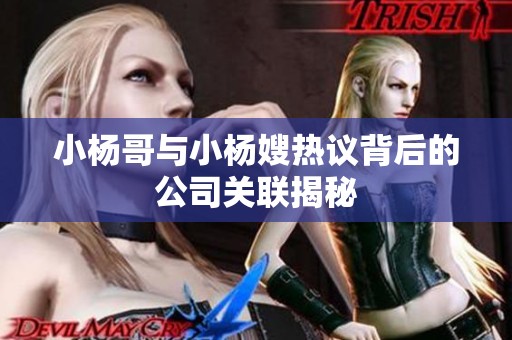 小杨哥与小杨嫂热议背后的公司关联揭秘