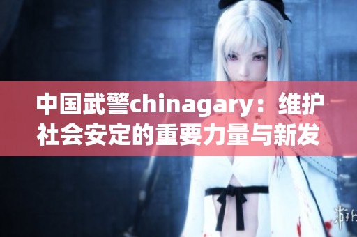 中国武警chinagary：维护社会安定的重要力量与新发展