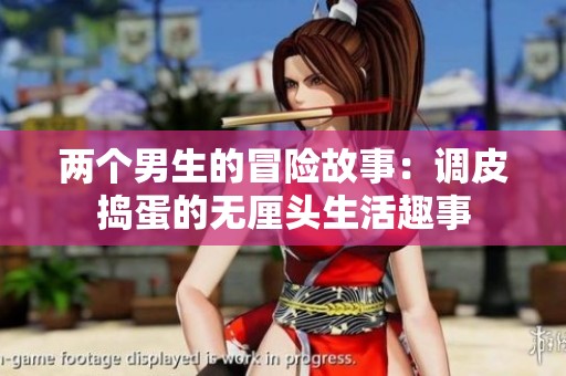 两个男生的冒险故事：调皮捣蛋的无厘头生活趣事