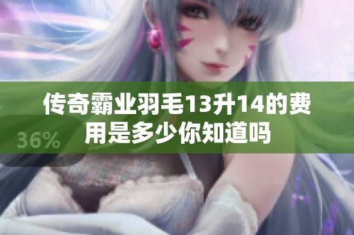 传奇霸业羽毛13升14的费用是多少你知道吗