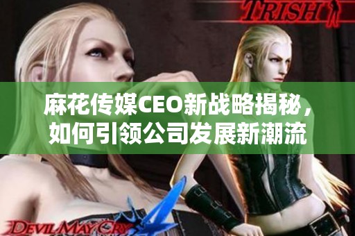 麻花传媒CEO新战略揭秘，如何引领公司发展新潮流