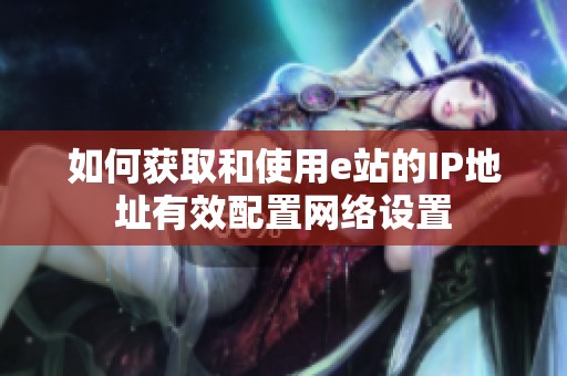 如何获取和使用e站的IP地址有效配置网络设置
