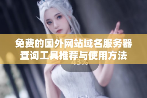 免费的国外网站域名服务器查询工具推荐与使用方法