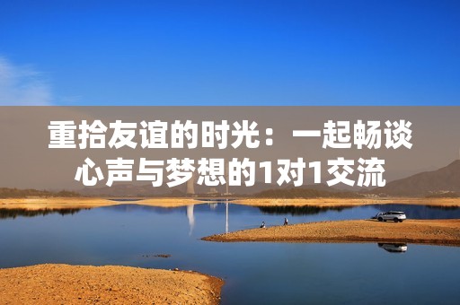 重拾友谊的时光：一起畅谈心声与梦想的1对1交流