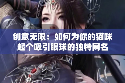 创意无限：如何为你的猫咪起个吸引眼球的独特网名