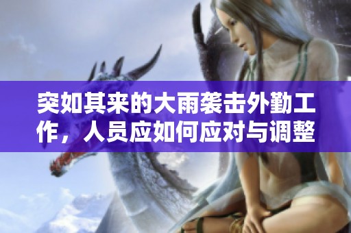 突如其来的大雨袭击外勤工作，人员应如何应对与调整