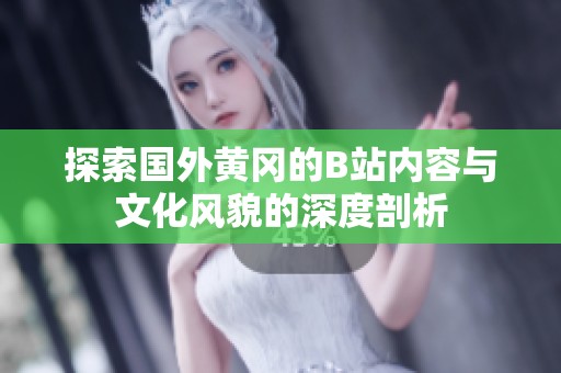 探索国外黄冈的B站内容与文化风貌的深度剖析