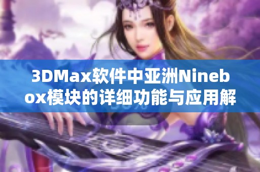 3DMax软件中亚洲Ninebox模块的详细功能与应用解析