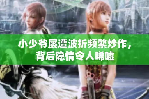 小少爷屡遭波折频繁炒作，背后隐情令人唏嘘
