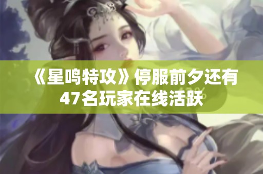 《星鸣特攻》停服前夕还有47名玩家在线活跃