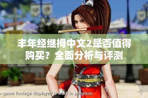丰年经继拇中文2是否值得购买？全面分析与评测