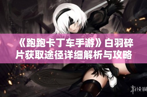 《跑跑卡丁车手游》白羽碎片获取途径详细解析与攻略分享