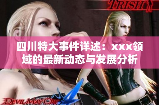 四川特大事件详述：xxx领域的最新动态与发展分析