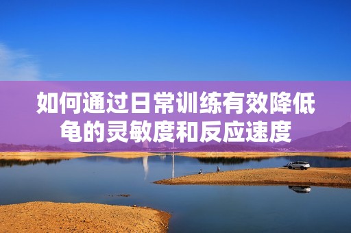 如何通过日常训练有效降低龟的灵敏度和反应速度