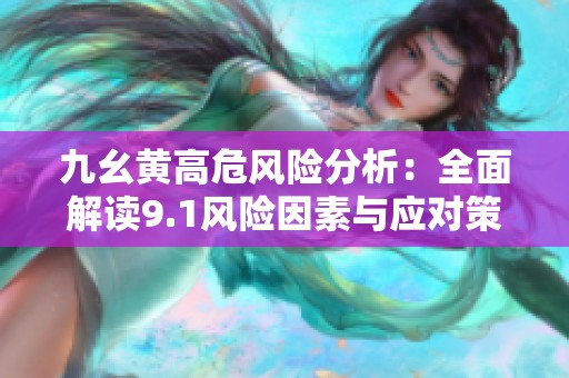 九幺黄高危风险分析：全面解读9.1风险因素与应对策略