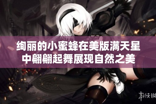 绚丽的小蜜蜂在美版满天星中翩翩起舞展现自然之美