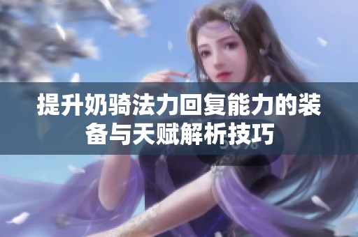 提升奶骑法力回复能力的装备与天赋解析技巧
