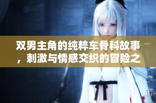 双男主角的纯粹车骨科故事，刺激与情感交织的冒险之旅
