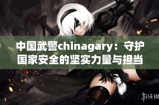 中国武警chinagary：守护国家安全的坚实力量与担当