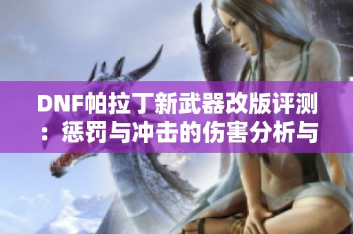 DNF帕拉丁新武器改版评测：惩罚与冲击的伤害分析与对比