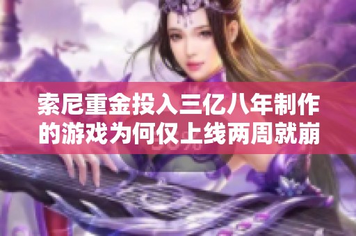 索尼重金投入三亿八年制作的游戏为何仅上线两周就崩溃