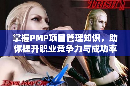 掌握PMP项目管理知识，助你提升职业竞争力与成功率