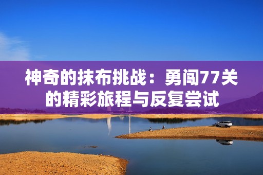 神奇的抹布挑战：勇闯77关的精彩旅程与反复尝试