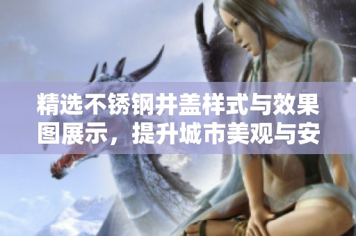 精选不锈钢井盖样式与效果图展示，提升城市美观与安全性