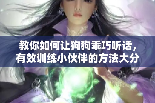 教你如何让狗狗乖巧听话，有效训练小伙伴的方法大分享