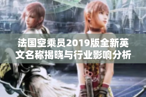 法国空乘员2019版全新英文名称揭晓与行业影响分析