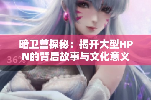 暗卫营探秘：揭开大型HPN的背后故事与文化意义