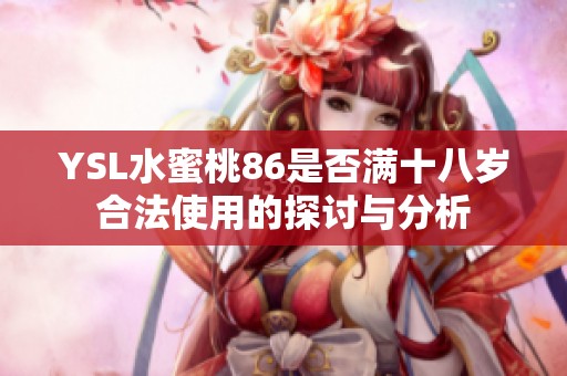 YSL水蜜桃86是否满十八岁合法使用的探讨与分析