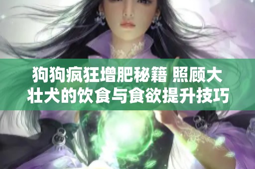狗狗疯狂增肥秘籍 照顾大壮犬的饮食与食欲提升技巧