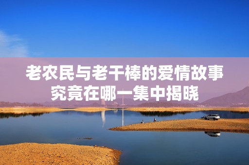 老农民与老干棒的爱情故事究竟在哪一集中揭晓