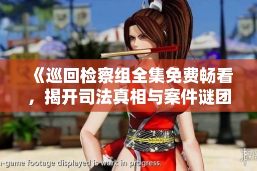 《巡回检察组全集免费畅看，揭开司法真相与案件谜团》